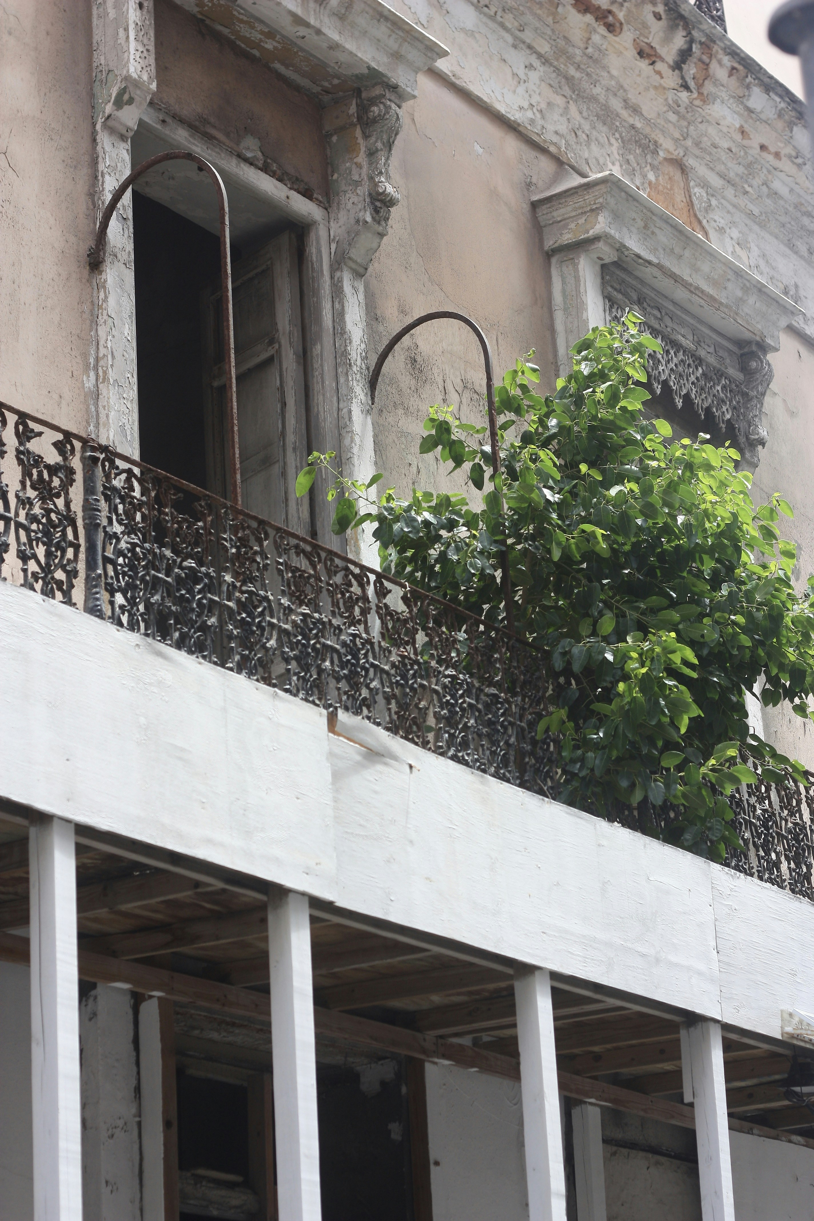 Photo by etiennejanylah