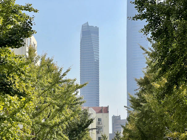 The lush green trees of Zamalek island contrasting with the urban skyline of Cairo.