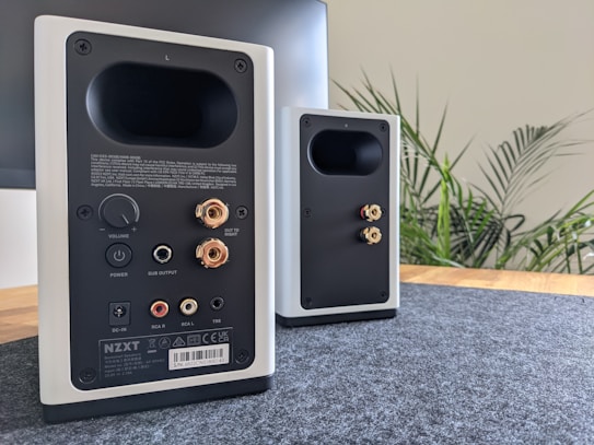 A pair of bookshelf speakers are positioned on a wooden surface. The focus is on the rear side of the speakers, which feature various input and output ports, dials, and labels for connectivity. Surrounding the speakers is a subtle indoor plant, enhancing the modern aesthetic.
