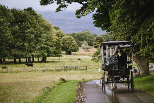 A horse-drawn carriage is traveling along a narrow paved path through a lush, green parkland. Tall trees with dense foliage surround the area, and several cows are grazing in a fenced field to the left. The scene is serene, with rolling hills visible in the background under a cloudy sky. The carriage has a covered canopy, and a person is seated inside holding the reins.