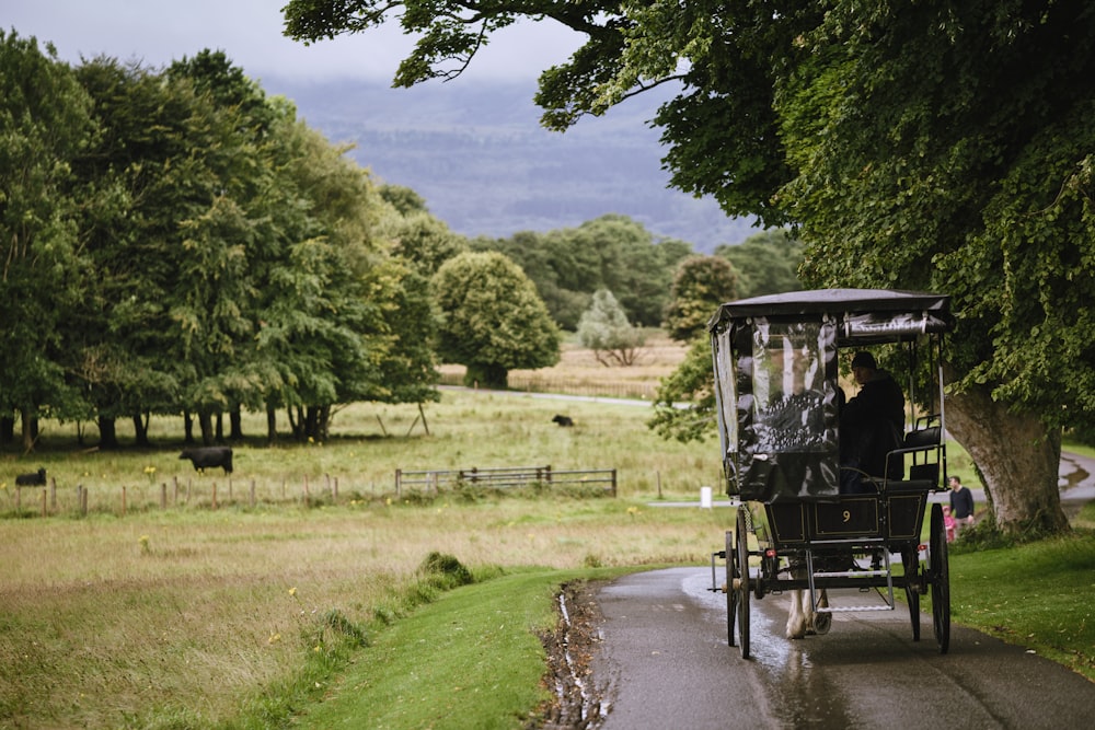 a horse drawn carriage traveling down a country road