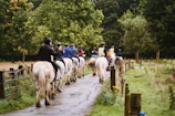 A group lesson in progress with riders learning horsemanship in the lush green training center.