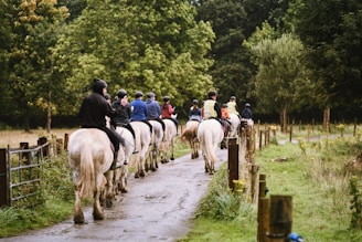 a group of people riding on the backs of horses
