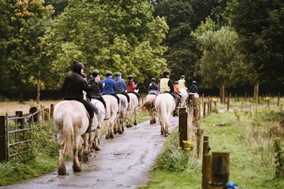a group of people riding on the backs of horses