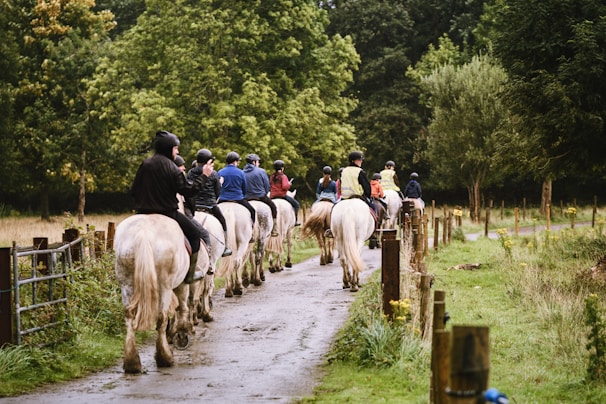 Kids riding horses in a scenic Irish countryside setting.