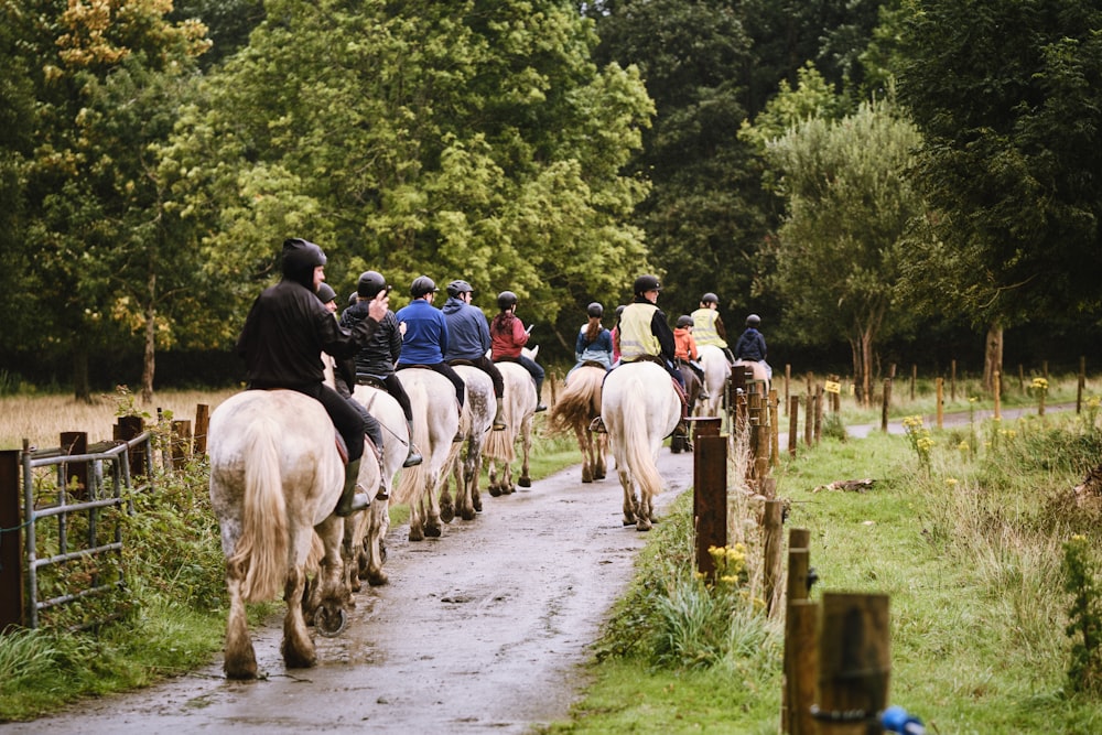 a group of people riding on the backs of horses