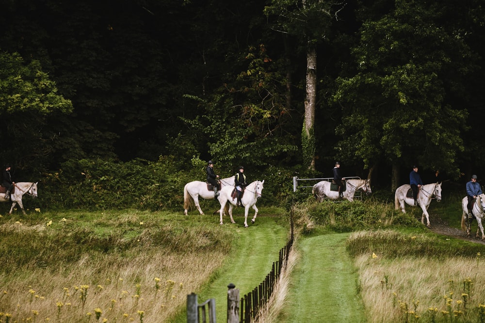 a group of people riding on the backs of white horses