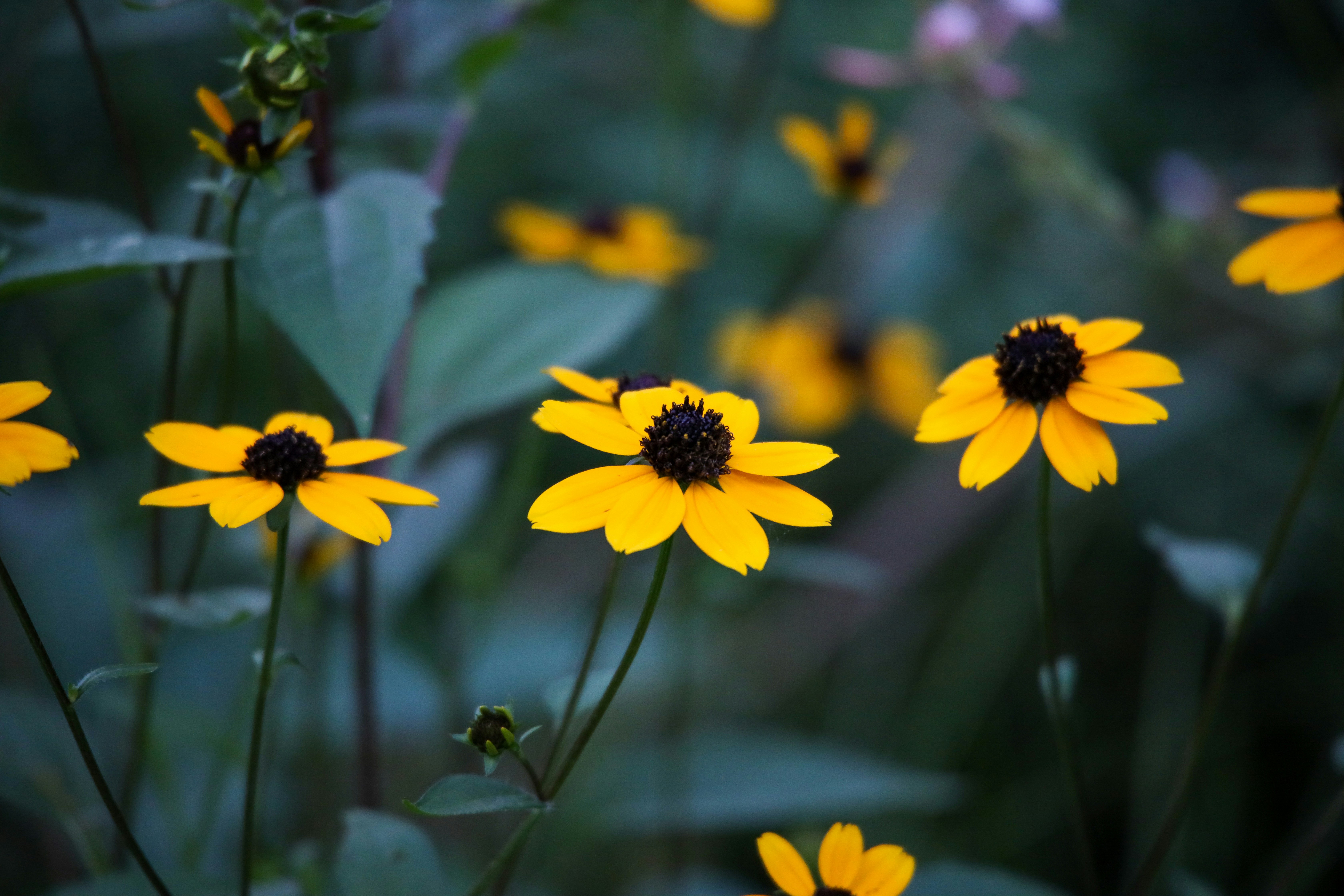 Photo by samarthkuls