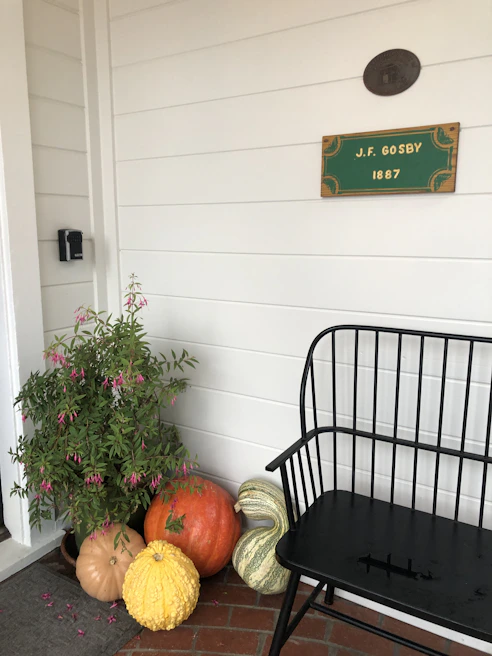 A charming entryway featuring a mix of colorful gourds and squash arranged artfully around a welcoming wooden bench