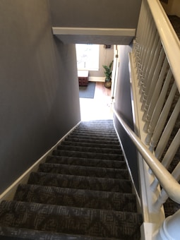 A staircase with gray carpeting descends to a well-lit area featuring hardwood flooring. A plush brown ottoman is positioned at the base of the stairs, and a green potted plant adds a touch of nature. The stairwell is bordered by white railings, and light filters in from a window or door beyond.