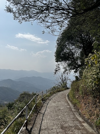 A winding footpath with wooden railings alongside a gently flowing mountain creek in a European alpine valley.