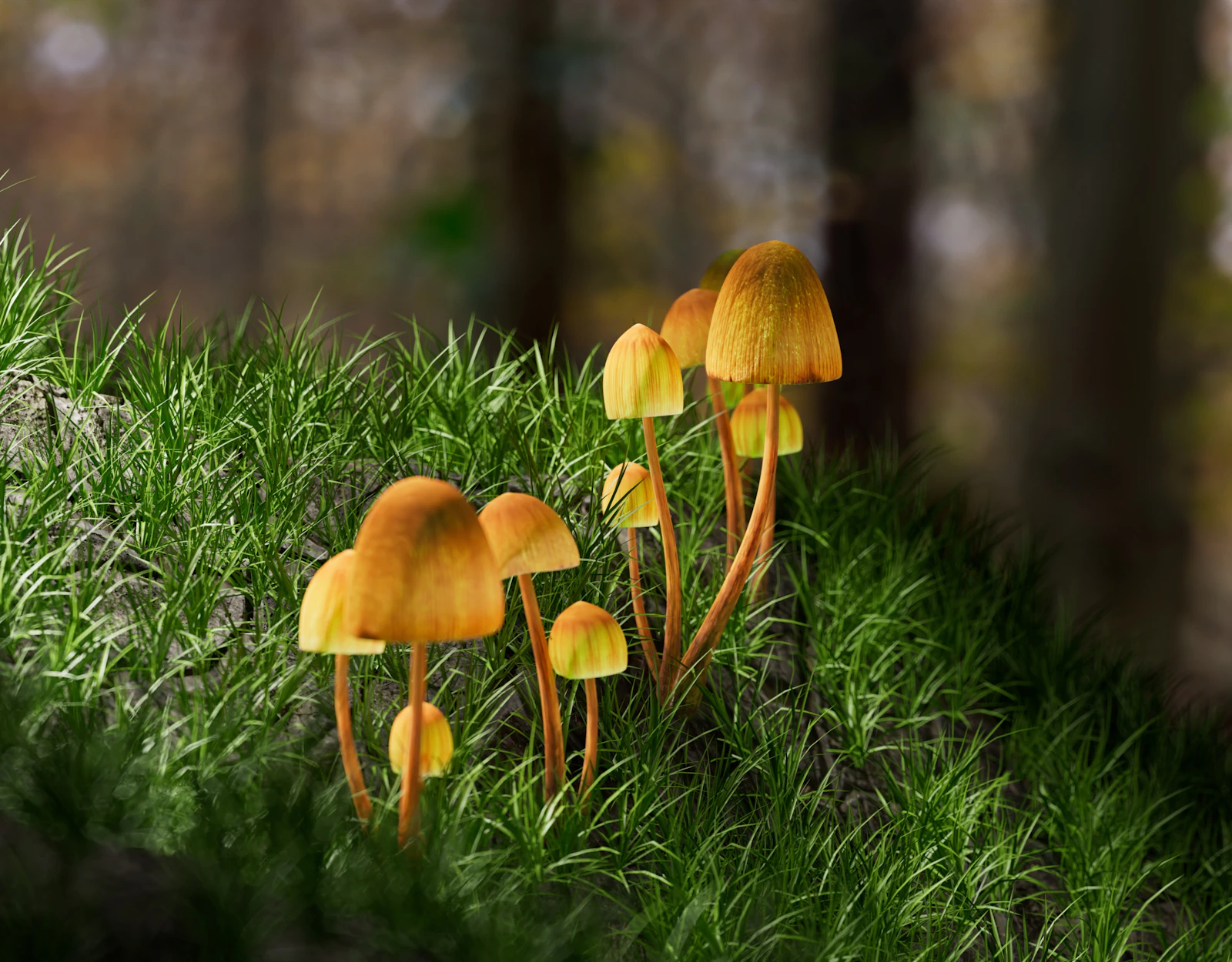Psilocybin Blocked Chemotherapy Nerve Damage in Mice, Setting Up Human Trial