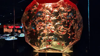 A sleek acrylic aquarium with vibrant fish inside, placed on a minimalist wooden stand.