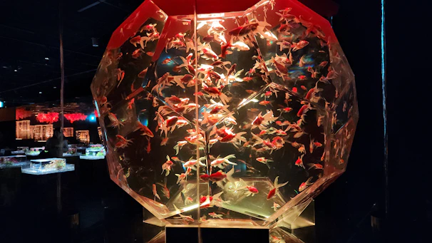 A sleek acrylic aquarium with vibrant fish inside, placed on a minimalist wooden stand.
