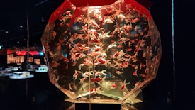 An intricately designed geometric aquarium filled with numerous goldfish is prominently displayed in a dimly lit room. The aquarium appears to be a central piece, with other illuminated aquariums visible in the background. The lighting emphasizes the vivid colors of the fish and the unique structure of the aquarium.