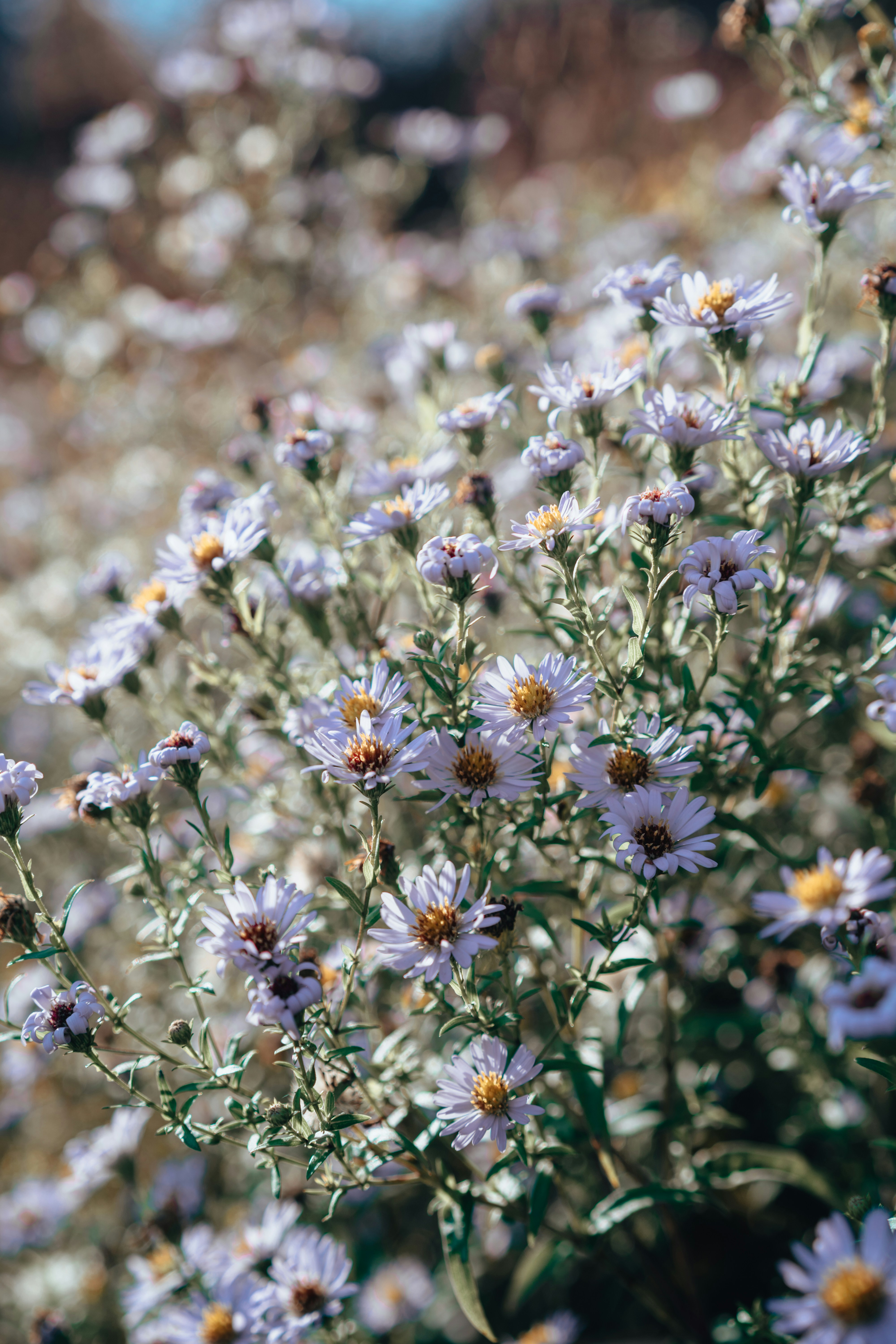 Photo by anamnesis33