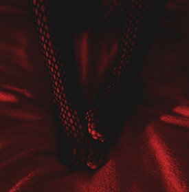 Black fishnet stockings are being worn on a pair of legs that are centrally framed on a bed covered in a red blanket. The lighting is low and gives a dramatic and sensual feel.