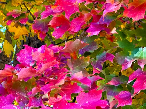 A vibrant display of autumn fashion items for kids.