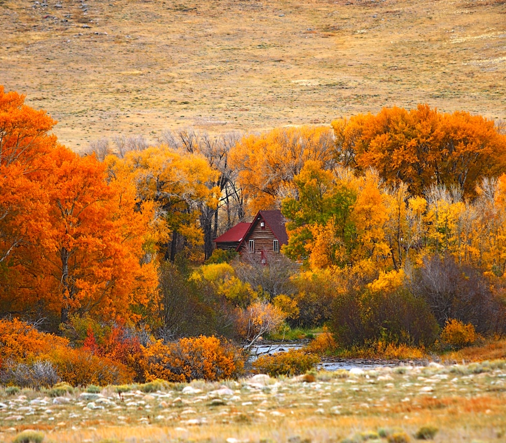 a house in the middle of a field surrounded by trees