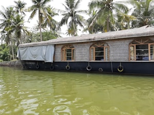 A traditional houseboat with a thatched roof floats on a calm body of water, surrounded by lush green palm trees. The reflection of the boat is visible in the water, creating a serene and picturesque scene. The windows of the boat have wooden frames, adding to its rustic charm.