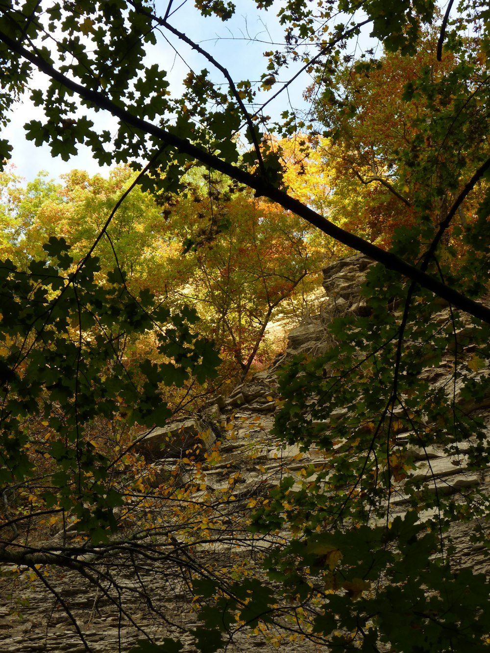 a view of a river through some trees