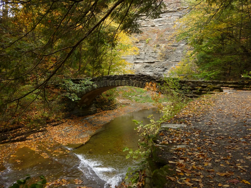 un pont de pierre au-dessus d’un petit ruisseau dans une forêt