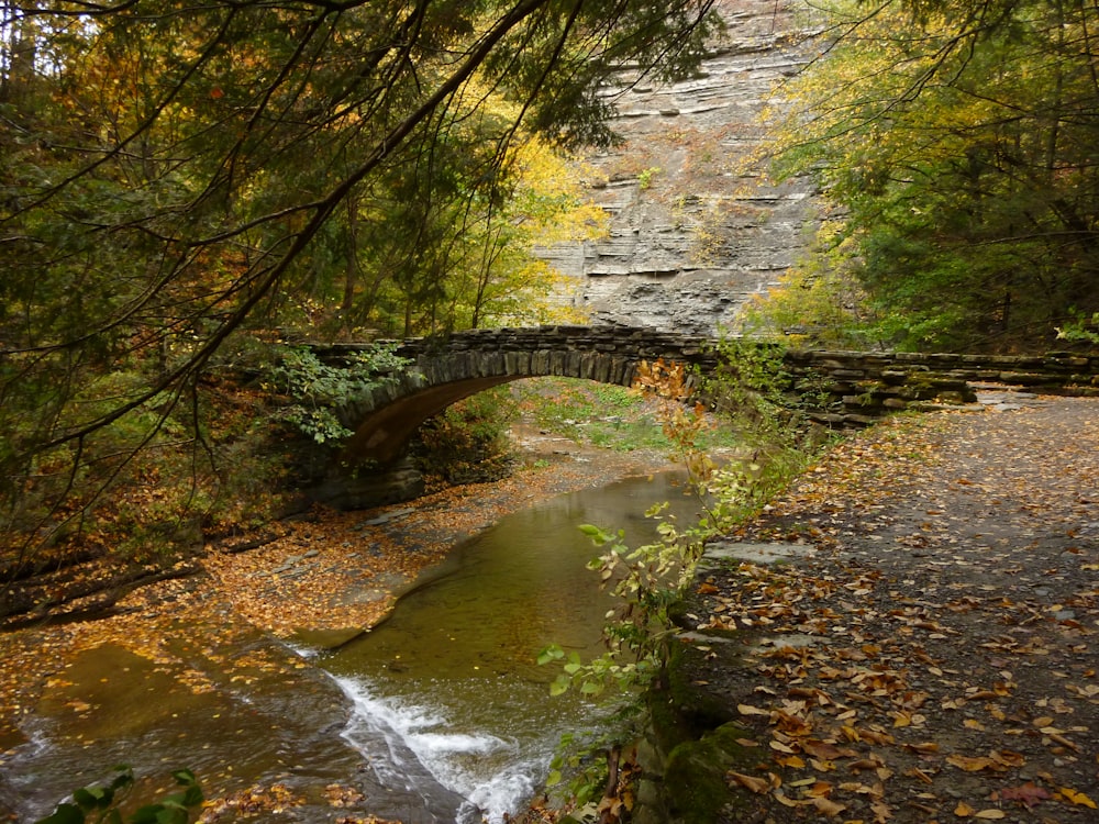 a stone bridge over a small stream in a forest