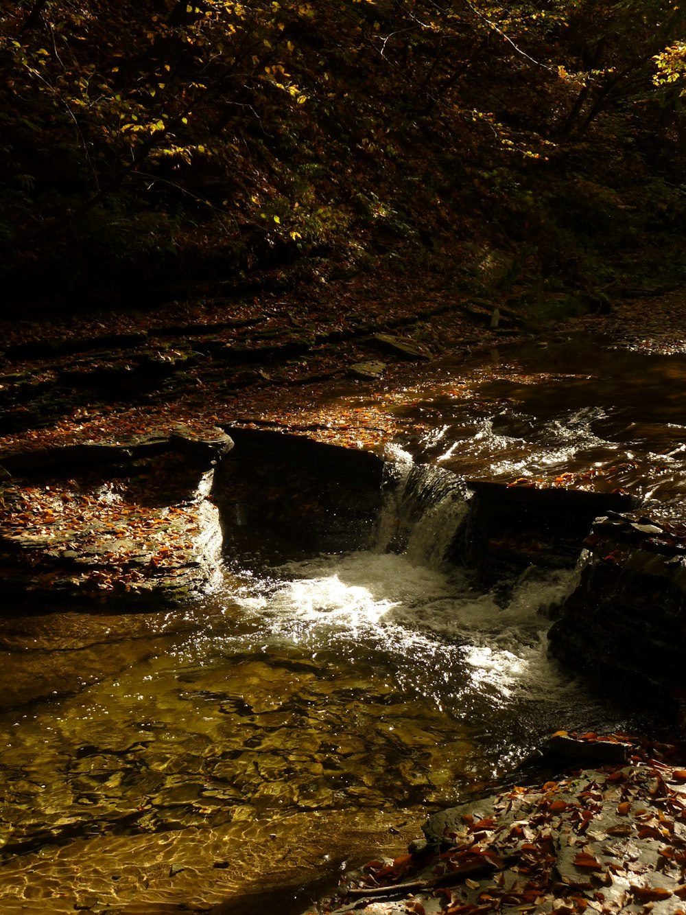 a small waterfall in the middle of a forest