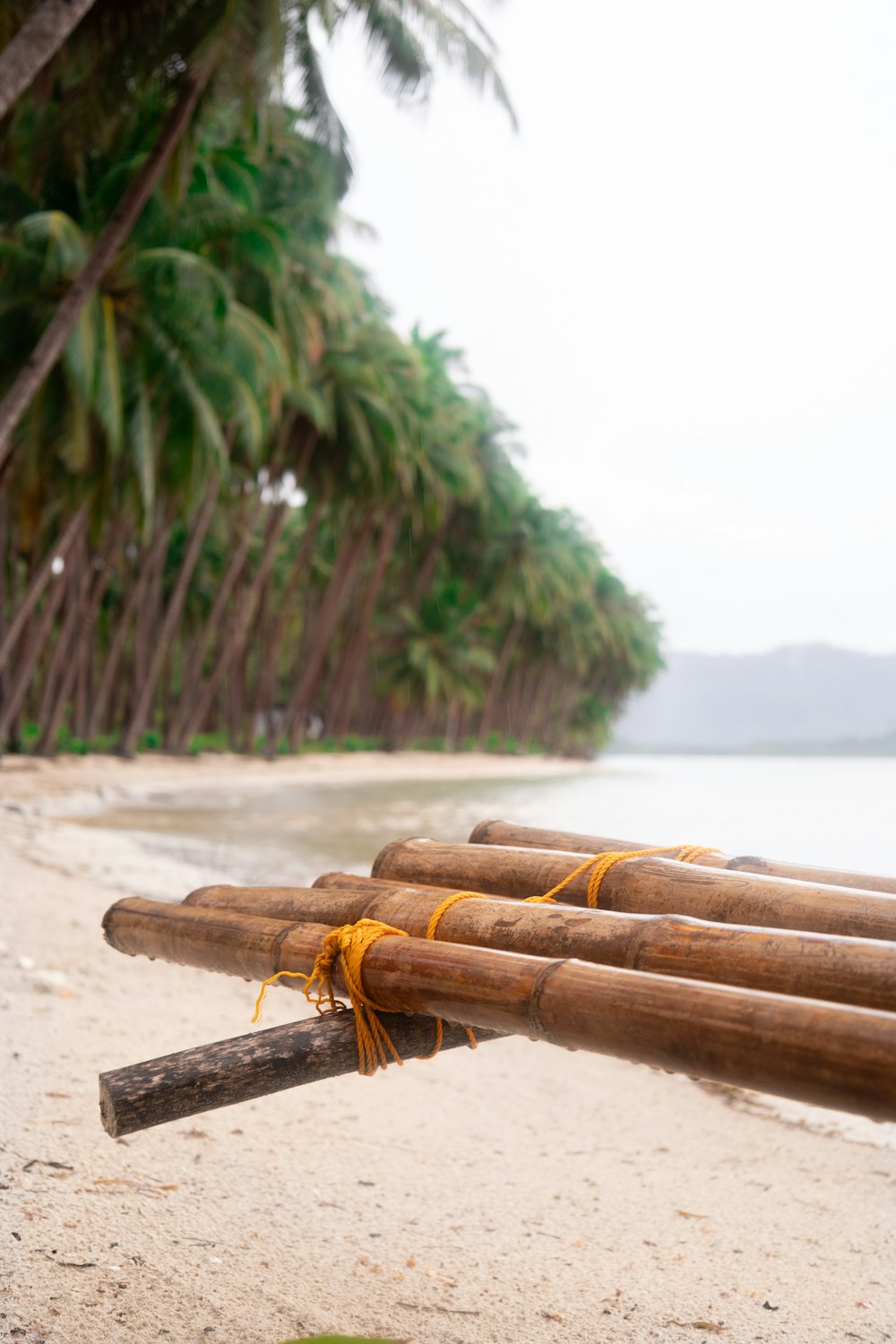 un montón de palos de bambú sentados en la parte superior de una playa de arena