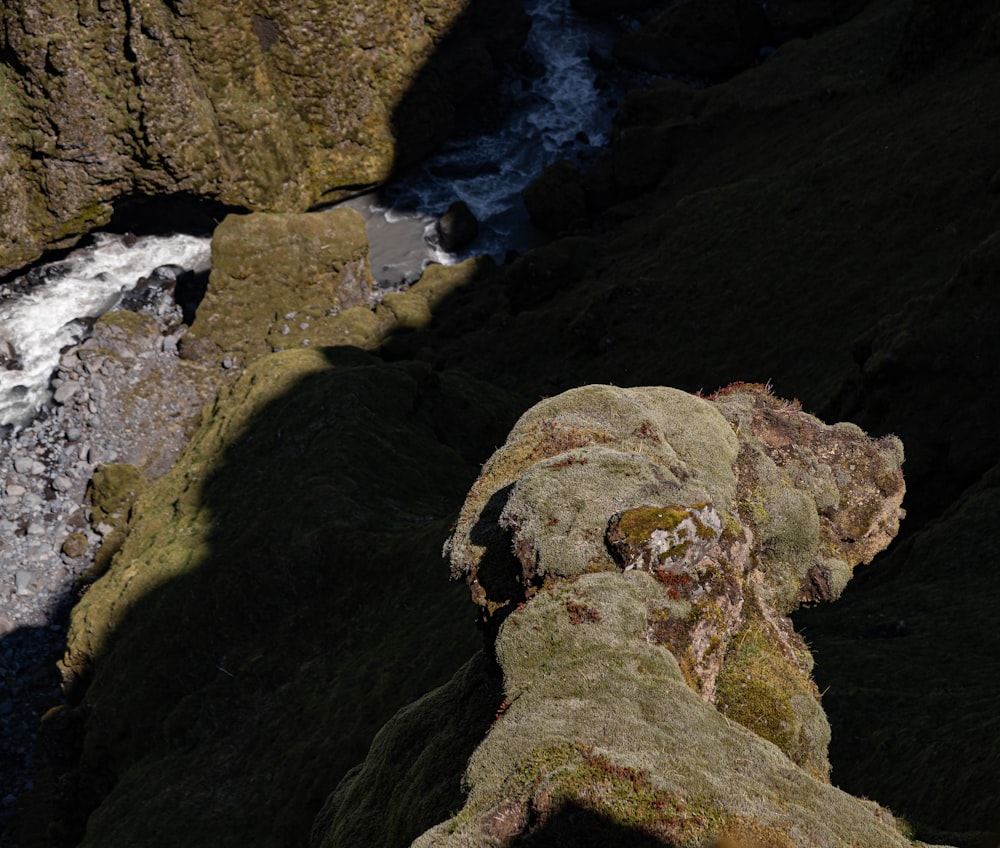 uma rocha com musgo crescendo sobre ela ao lado de um rio
