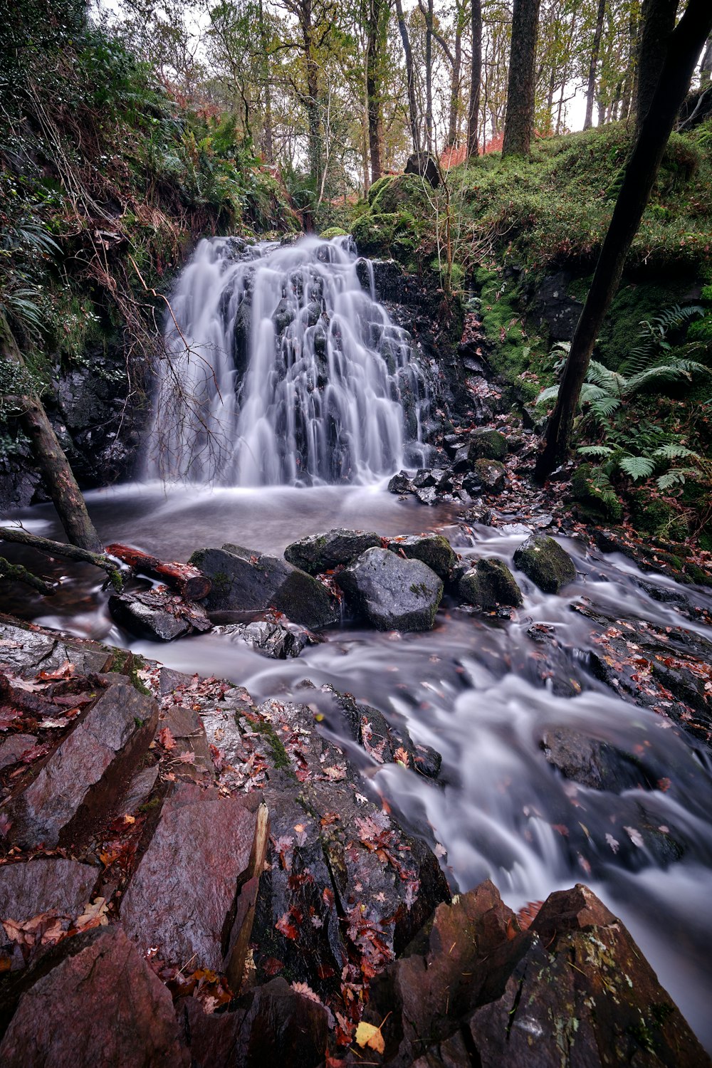 a small waterfall in the middle of a forest