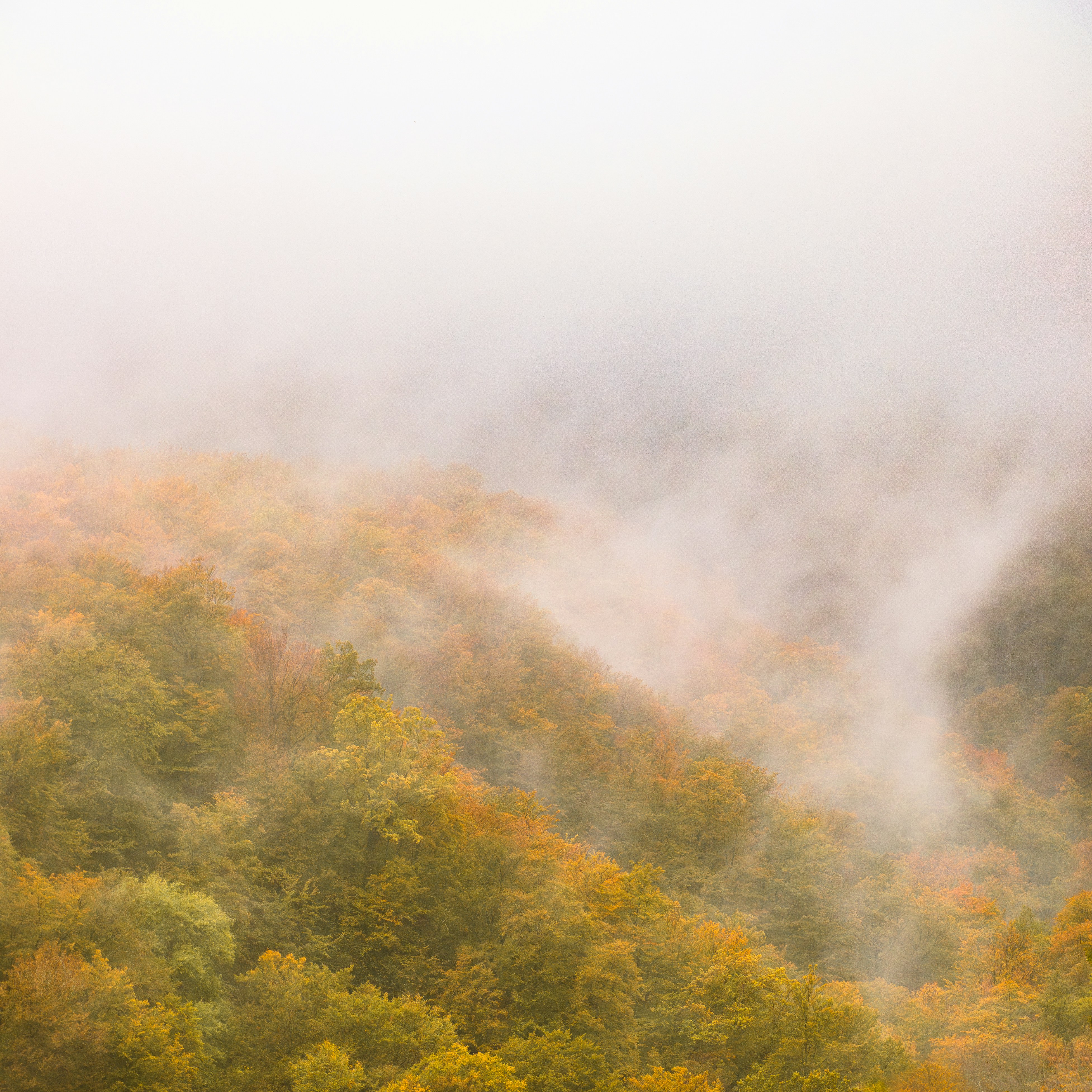 Photo by raedkasrawani