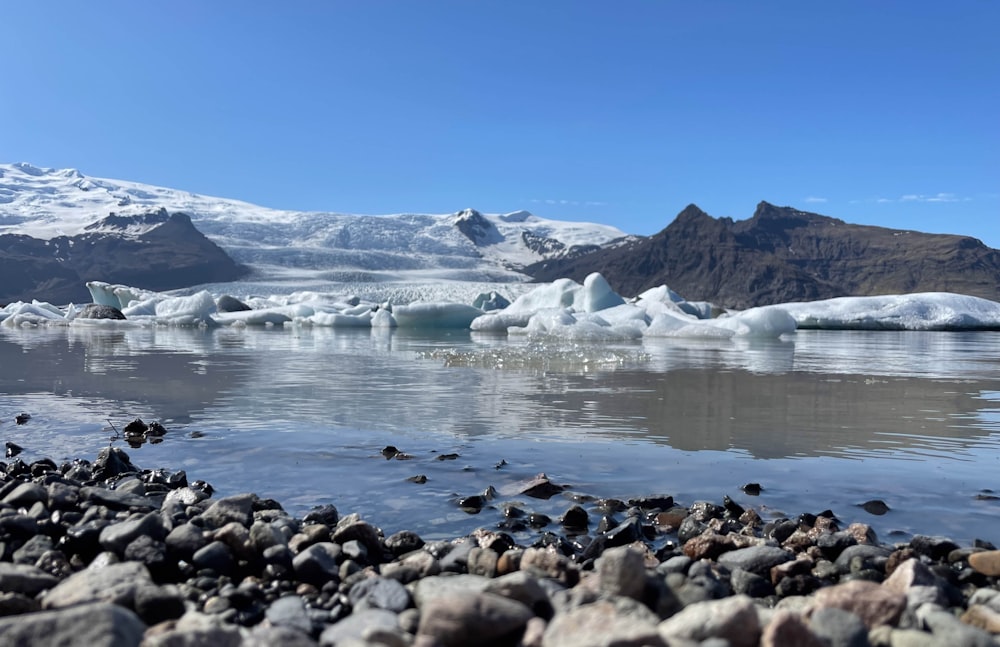 un gruppo di iceberg che galleggiano sopra uno specchio d'acqua