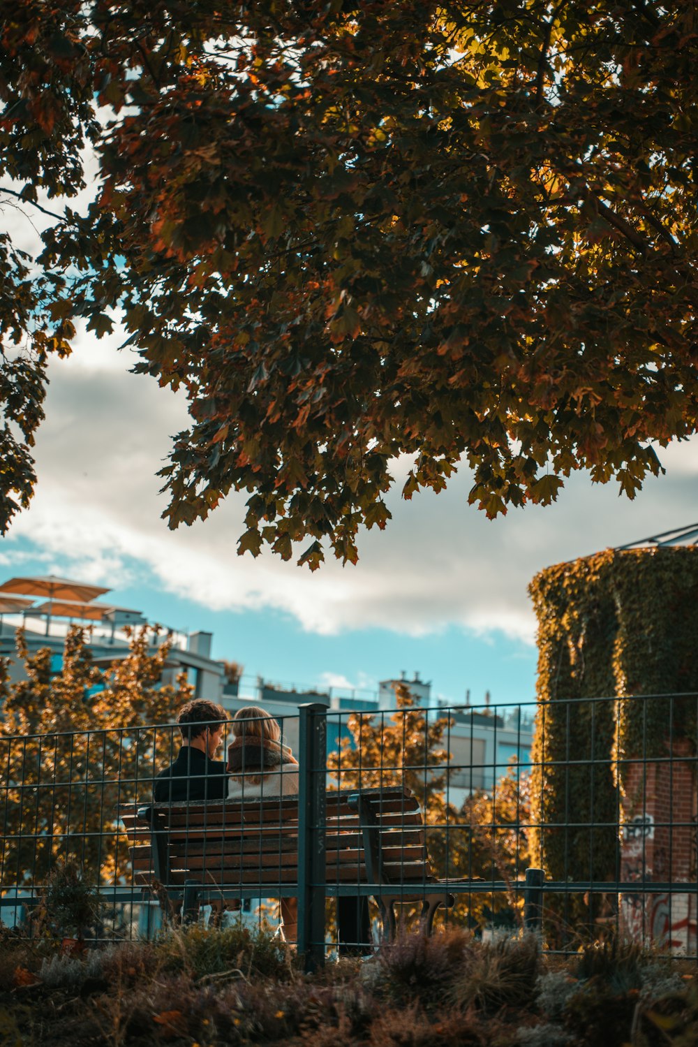 a couple of people sitting on a bench under a tree