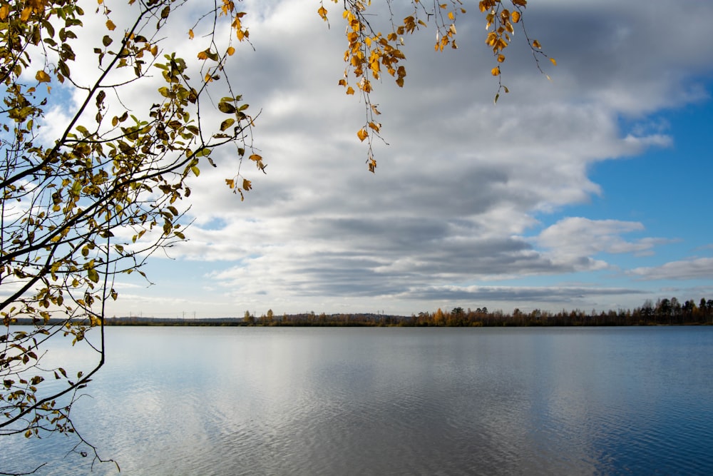 a body of water surrounded by trees and clouds