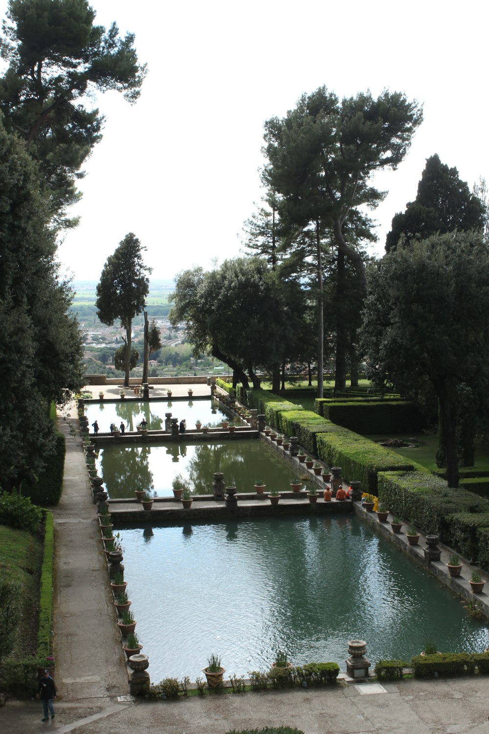 a large pond surrounded by trees in a park