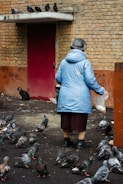 A person wearing a blue coat and black hat is standing on a dark pavement, surrounded by numerous pigeons. They are holding a small plastic bag, likely containing food for the birds. A stray cat is sitting near a brick wall, observing the scene. Several pigeons are perched above a red door on a concrete ledge, while the wall has some graffiti.
