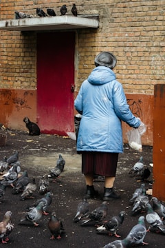 A person wearing a blue coat and black hat is standing on a dark pavement, surrounded by numerous pigeons. They are holding a small plastic bag, likely containing food for the birds. A stray cat is sitting near a brick wall, observing the scene. Several pigeons are perched above a red door on a concrete ledge, while the wall has some graffiti.