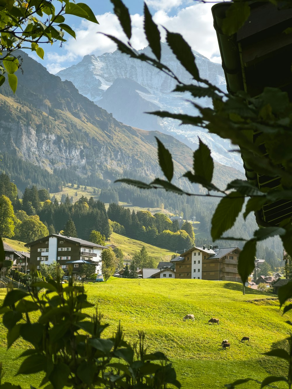 a green field with houses and mountains in the background