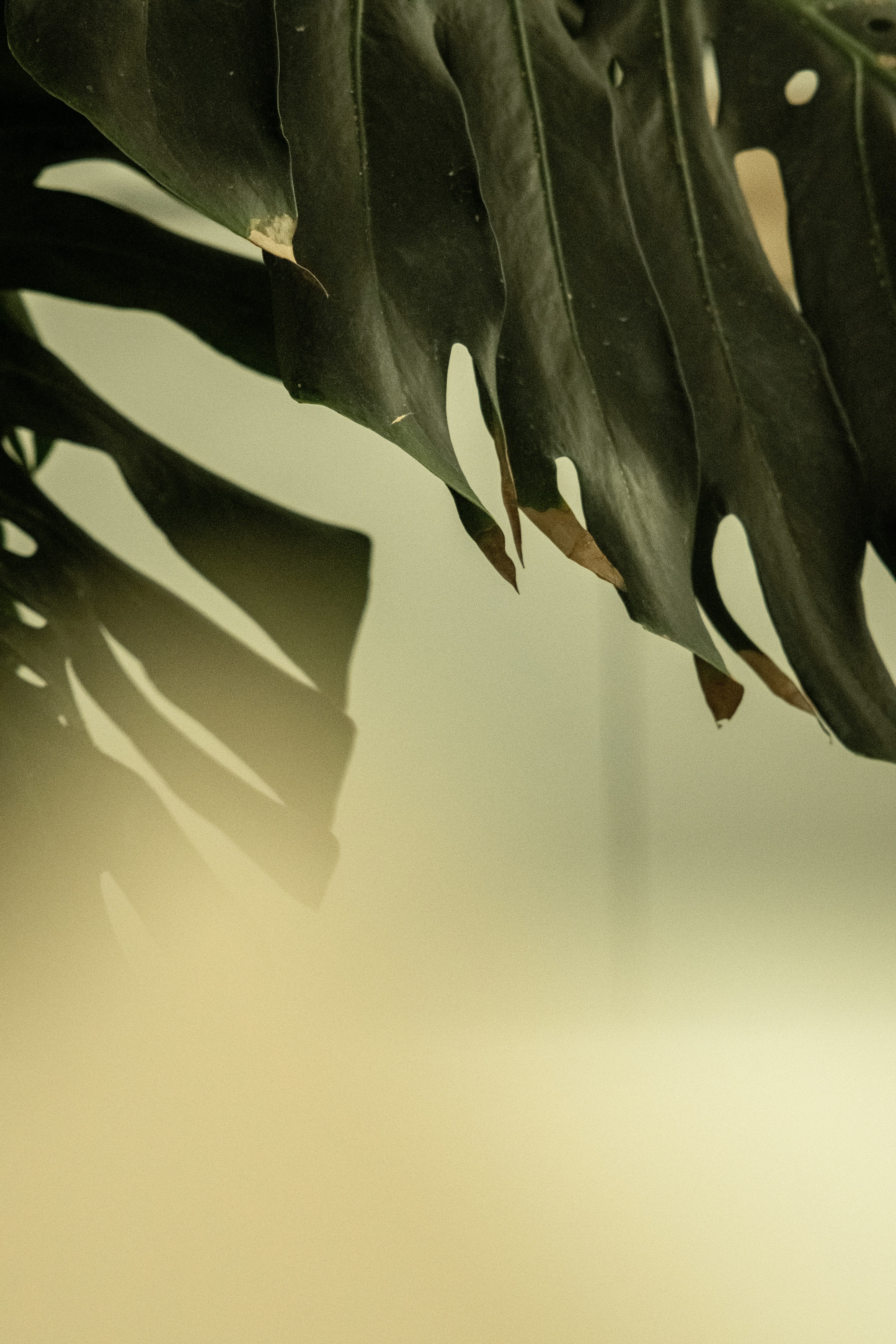 Photo by alex_quezada