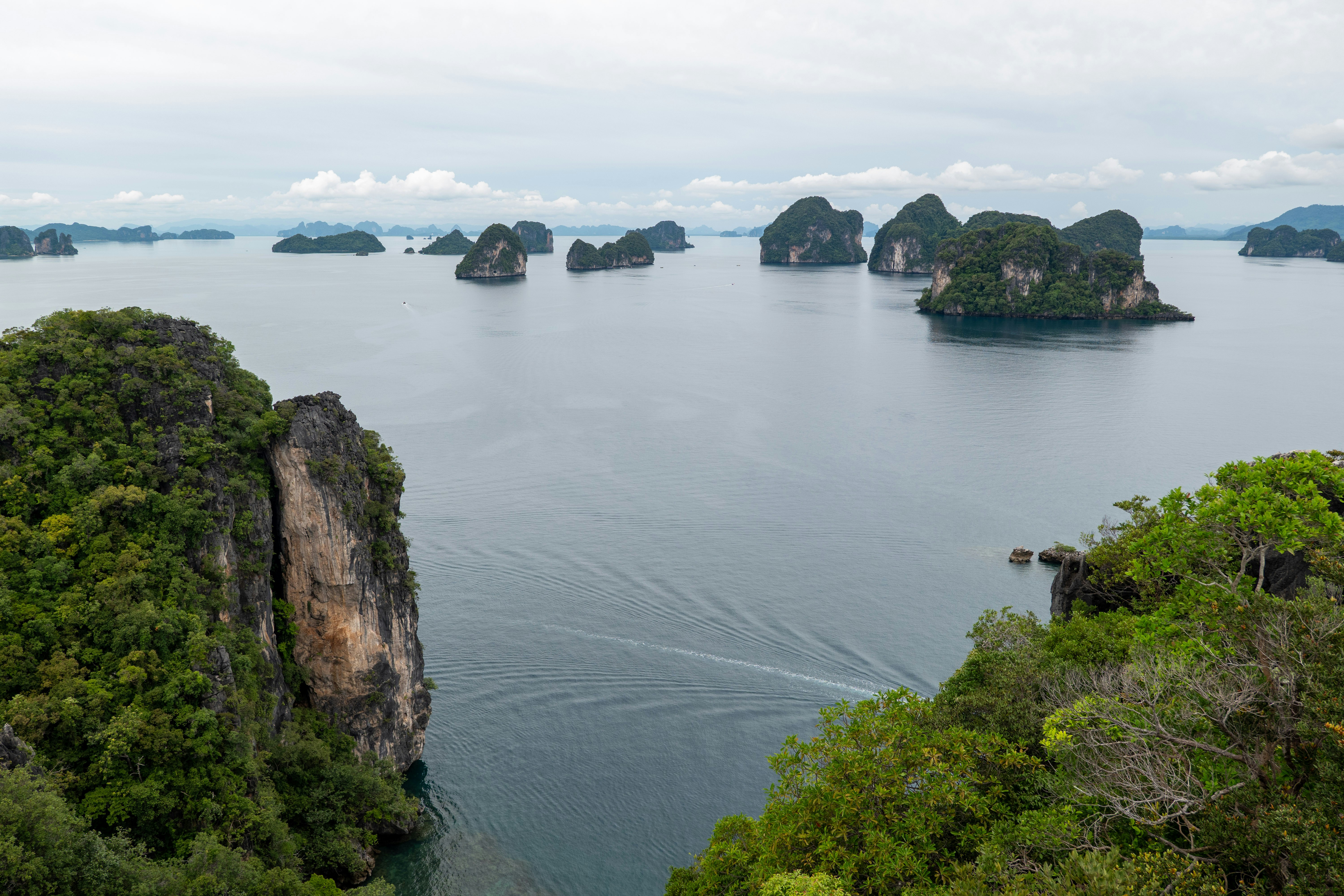 a large body of water surrounded by trees