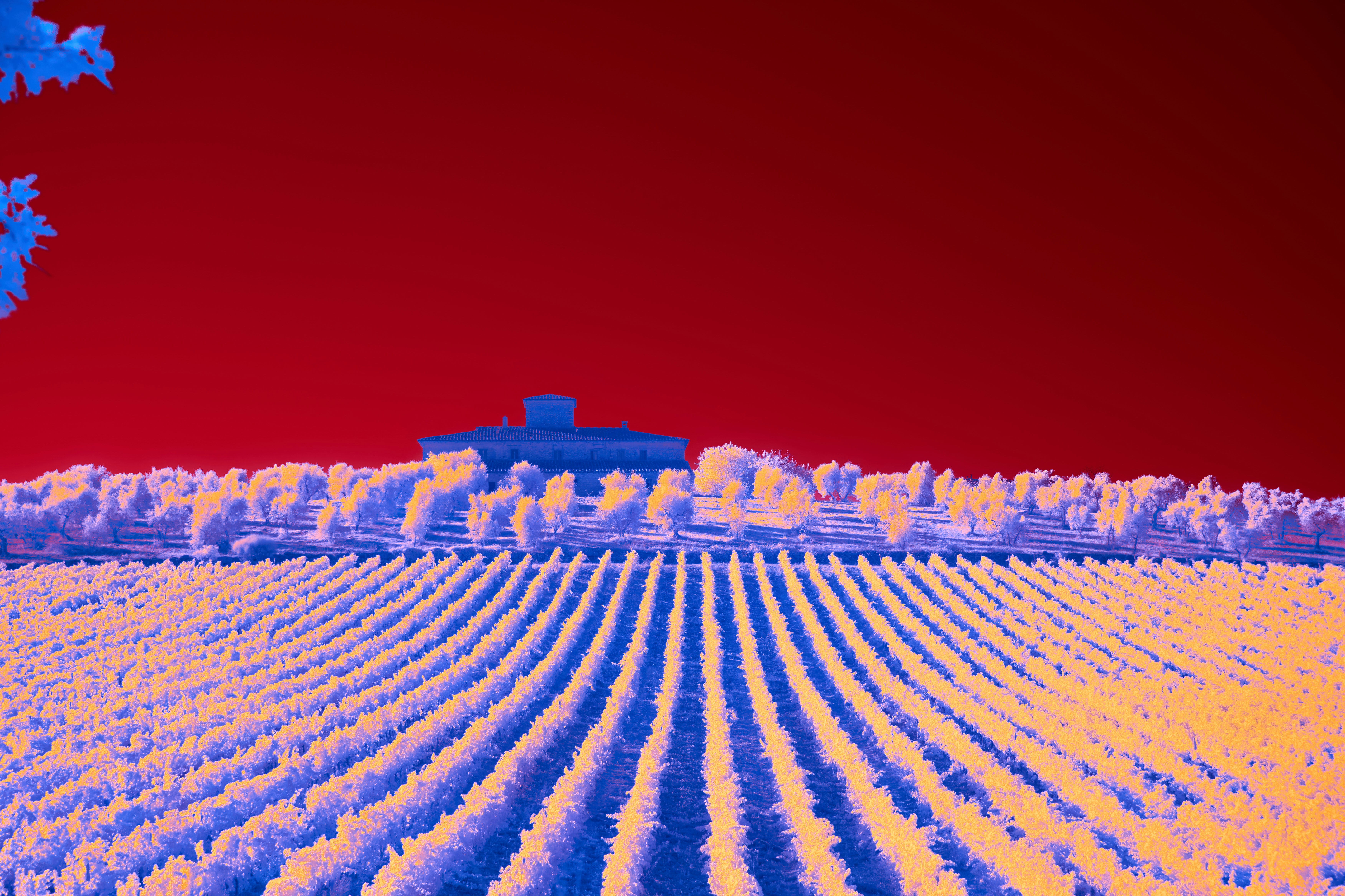 a large field with a house in the distance