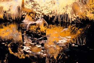 An artistic composition of nature-inspired visuals blending organic textures with digital enhancements.