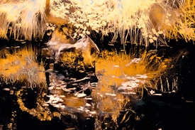 An abstract scene showcasing an intricate blend of organic textures and vibrant colors. The image features an abundance of foliage with elaborate patterns, accentuated by a rocky formation at the center. The overall composition is reflected in a body of water, creating a mirror-like effect.