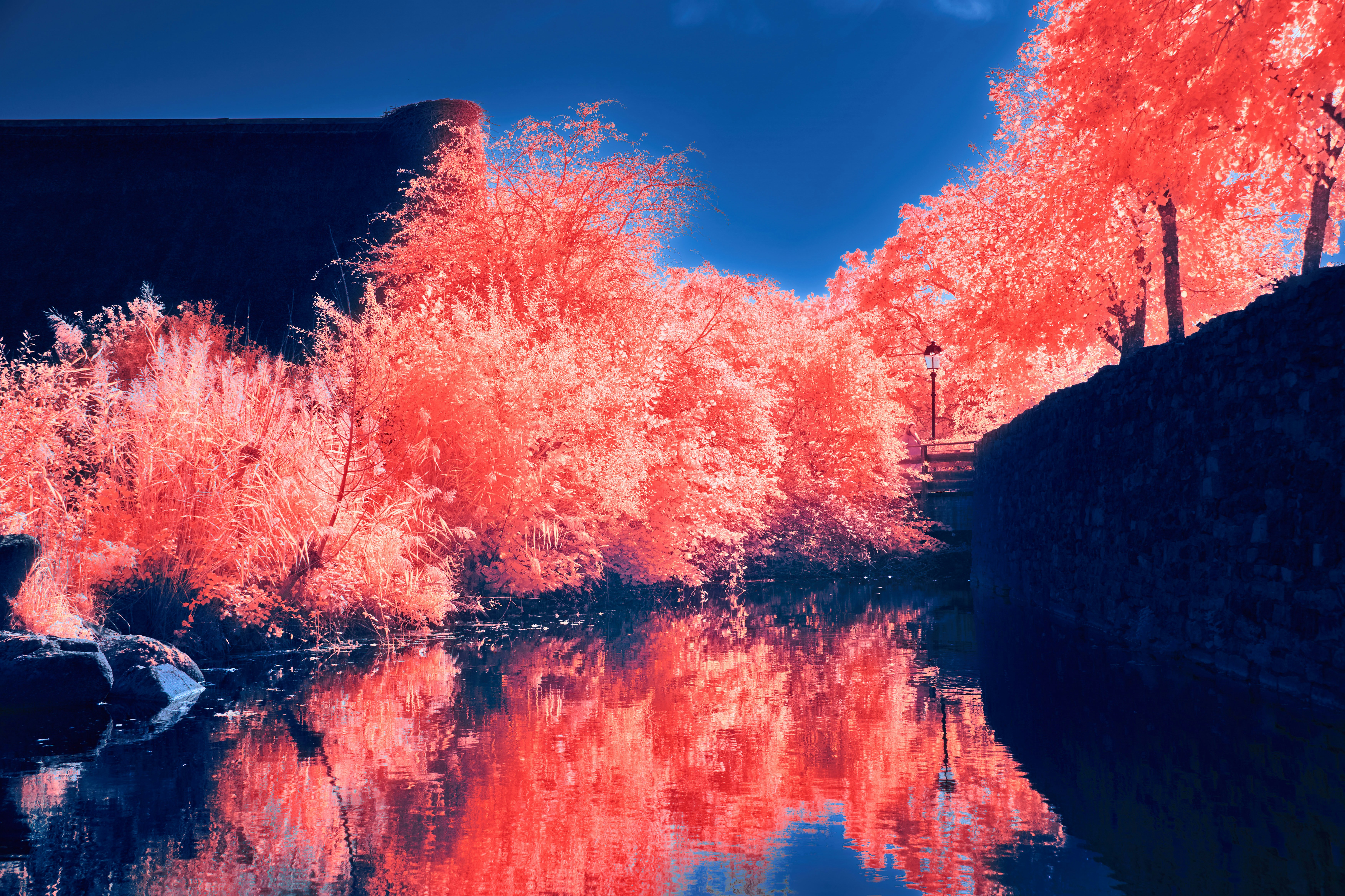 Photo by wolfgang_hasselmann