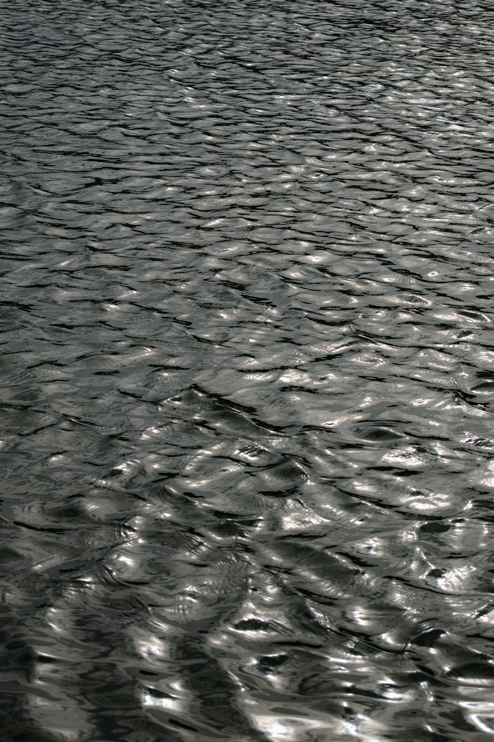 a black and white photo of a body of water