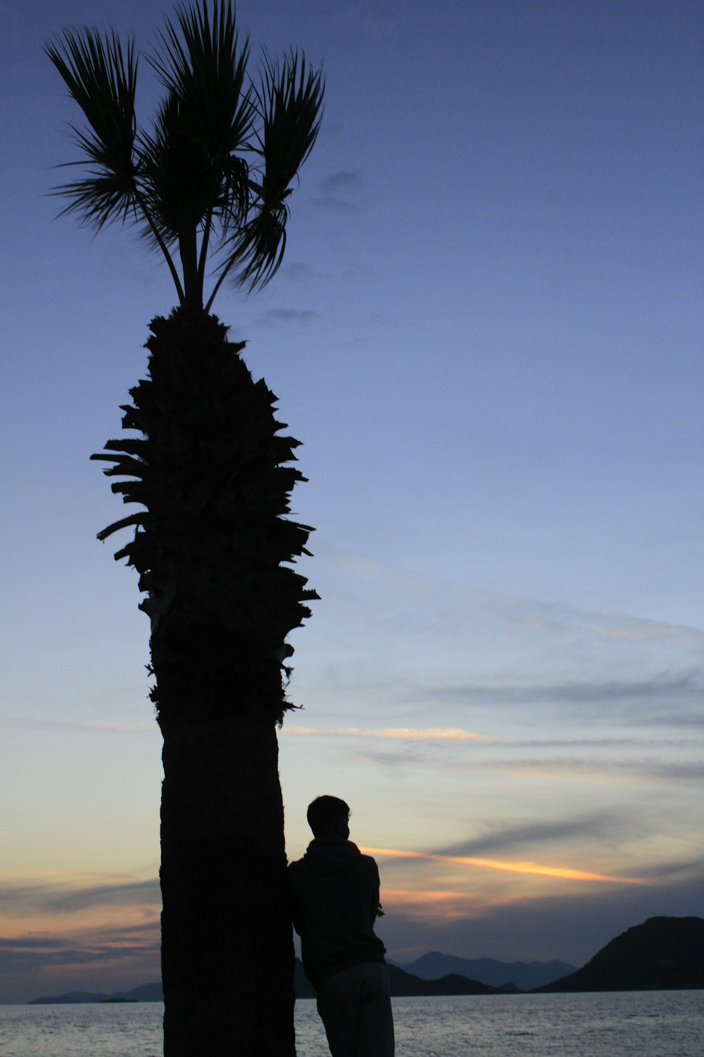 a man standing next to a palm tree near the ocean
