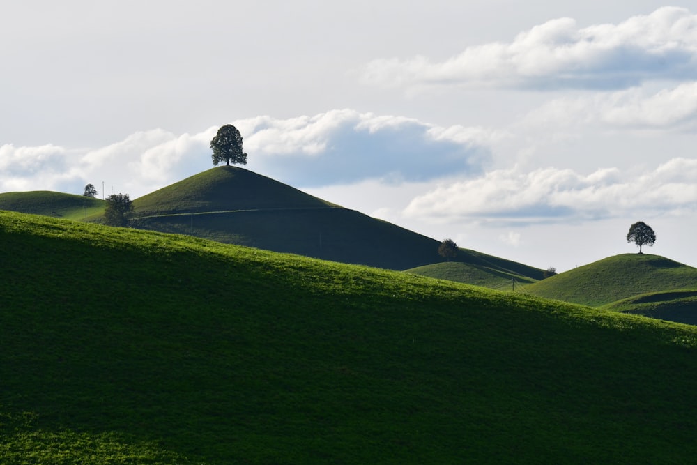 a grassy hill with trees on top of it