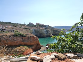 A coastal landscape featuring a rugged cliffside adorned with sparse greenery overlooking turquoise waters. In the foreground, fig trees with vibrant green leaves partially obscure the view of a rusty red rooftop and scattered stones. Buildings with a Mediterranean architectural style are visible on the hilltop in the background.