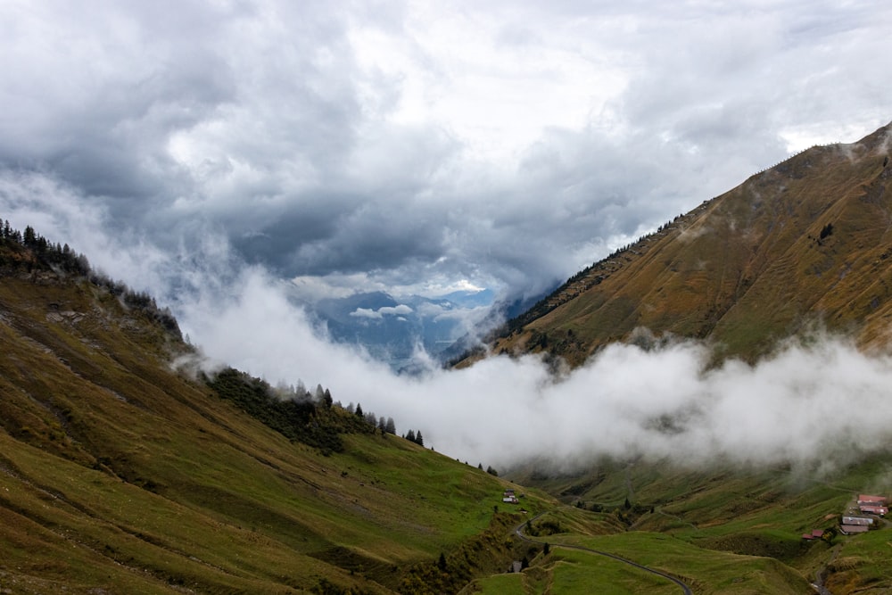 a view of a valley with a mountain in the background